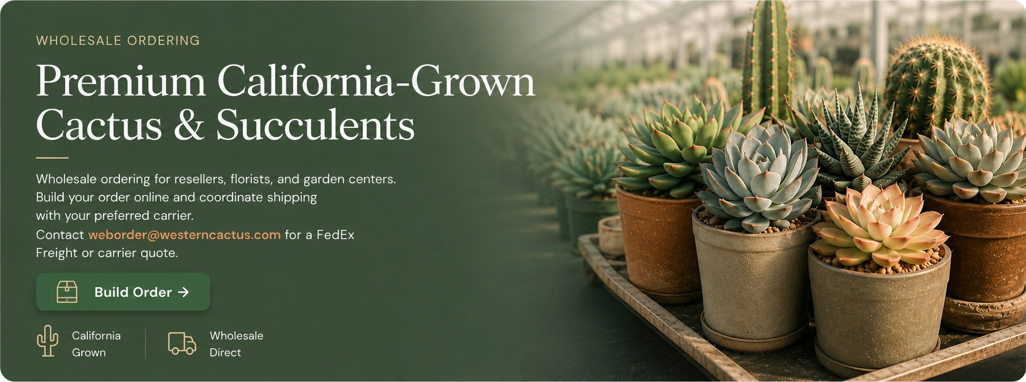 Western Cactus — click to build your order